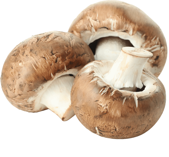 Produce Spore Gardens